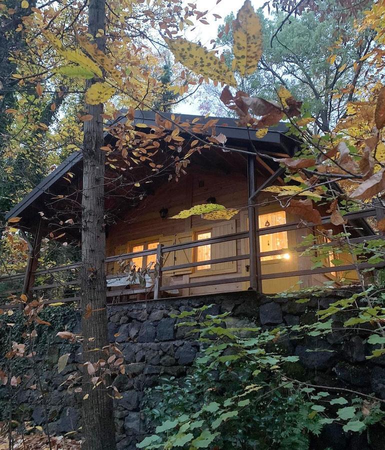 Chalet Etna ミーロ エクステリア 写真