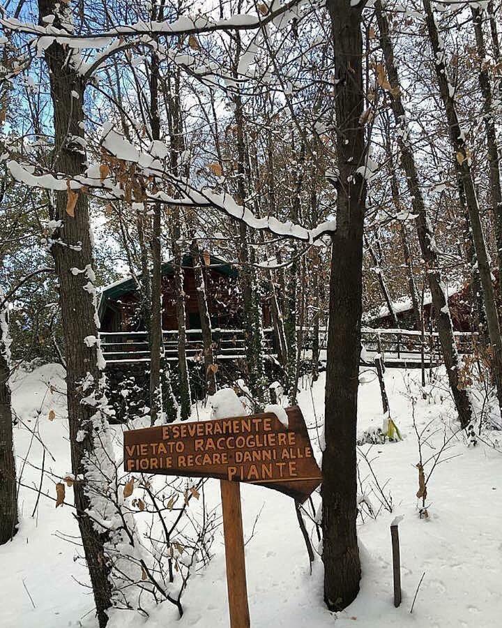 Chalet Etna ミーロ エクステリア 写真
